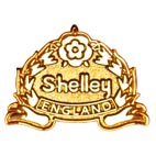 Shelley Annual Weekend 2008 Lapel Pin