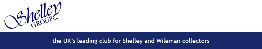 New Shelley Group logo