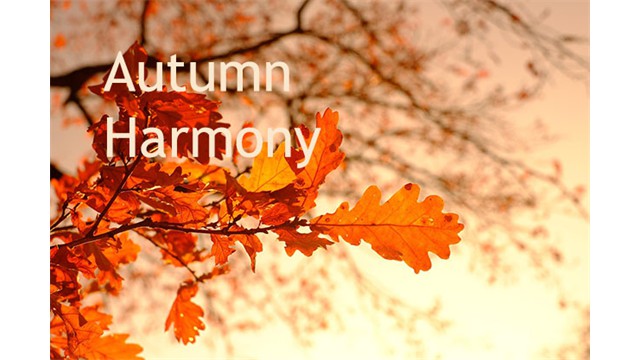 autumn harmony